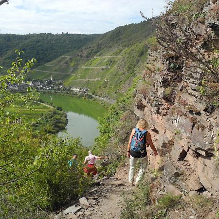 Weingut Pension Hammes-Krueger Ellenz-Poltersdorf Exteriér fotografie