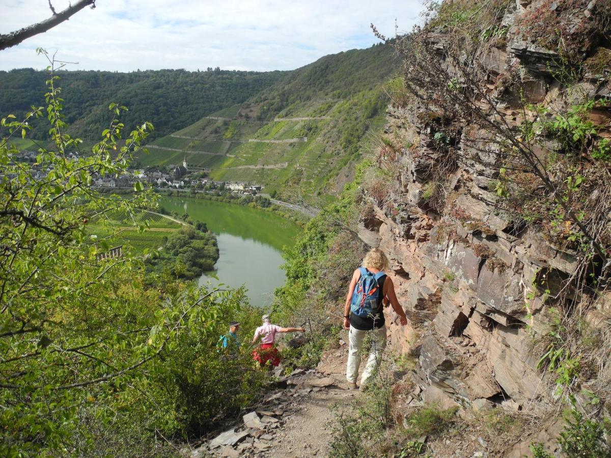 Weingut Pension Hammes-Krueger Ellenz-Poltersdorf Exteriér fotografie
