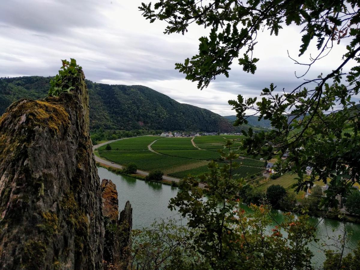 Weingut Pension Hammes-Krueger Ellenz-Poltersdorf Exteriér fotografie