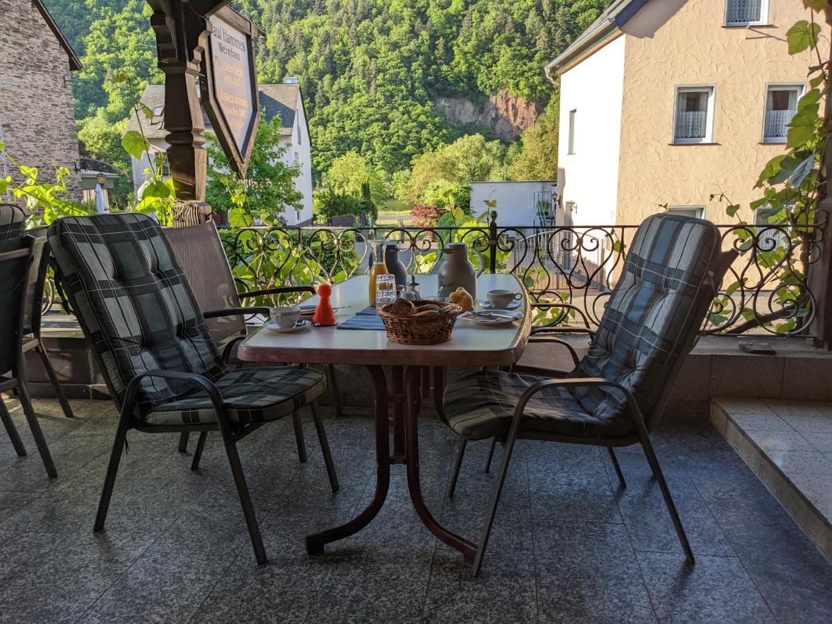 Weingut Pension Hammes-Krueger Ellenz-Poltersdorf Exteriér fotografie